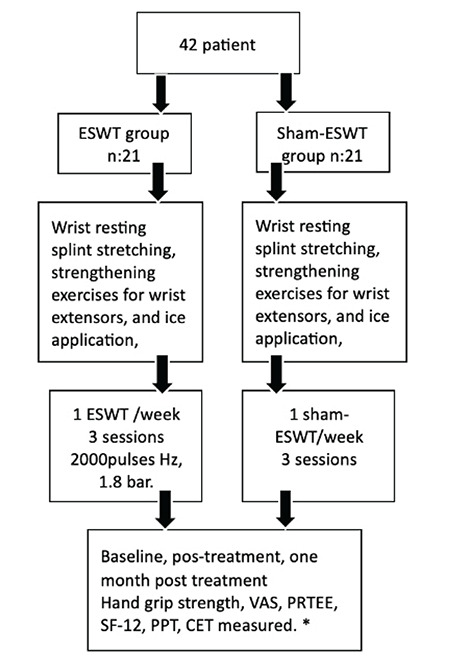 Flow diagram of the study